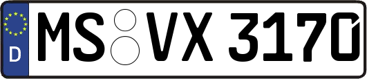 MS-VX3170