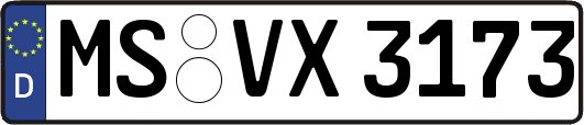 MS-VX3173