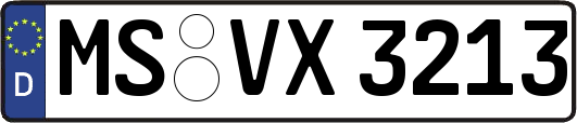 MS-VX3213