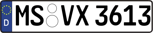 MS-VX3613