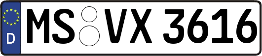 MS-VX3616