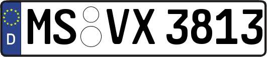 MS-VX3813