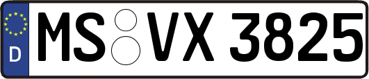MS-VX3825