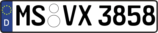MS-VX3858