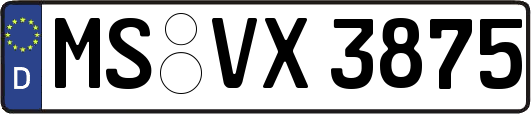 MS-VX3875
