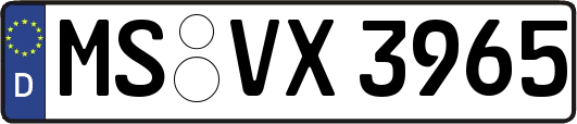 MS-VX3965