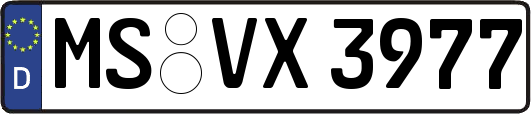 MS-VX3977