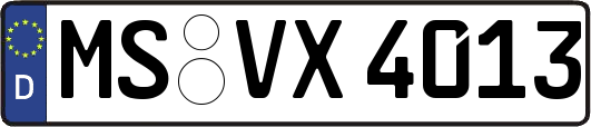 MS-VX4013