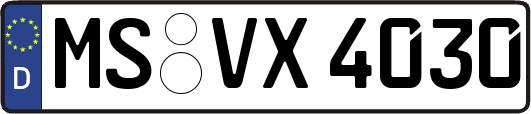 MS-VX4030