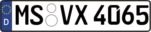 MS-VX4065