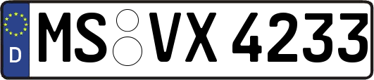 MS-VX4233