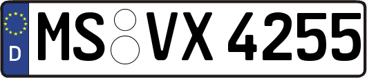 MS-VX4255