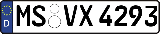 MS-VX4293