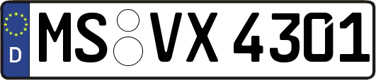 MS-VX4301