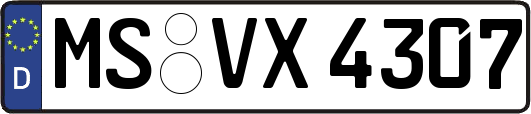 MS-VX4307