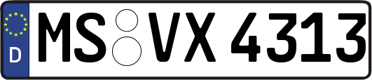 MS-VX4313