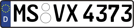 MS-VX4373