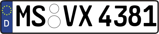 MS-VX4381
