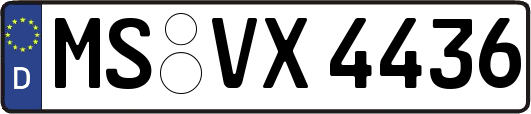 MS-VX4436