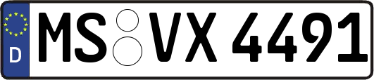 MS-VX4491