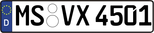 MS-VX4501