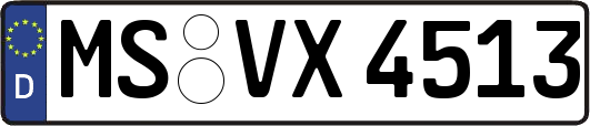 MS-VX4513