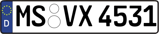 MS-VX4531