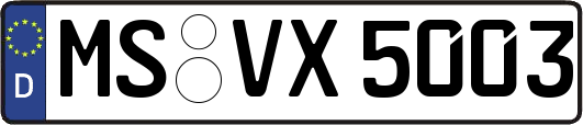 MS-VX5003