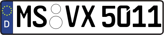 MS-VX5011