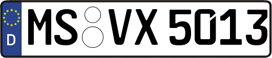 MS-VX5013