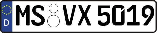 MS-VX5019