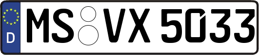 MS-VX5033