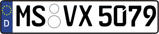 MS-VX5079