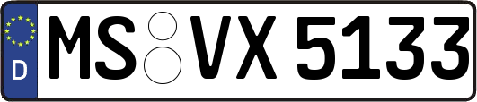MS-VX5133