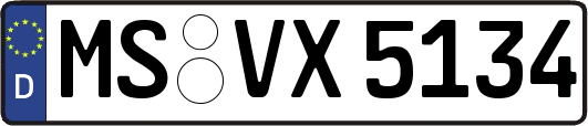 MS-VX5134