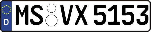 MS-VX5153