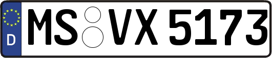 MS-VX5173