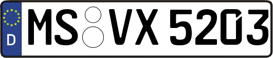 MS-VX5203