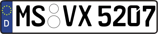 MS-VX5207