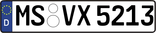 MS-VX5213