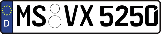 MS-VX5250