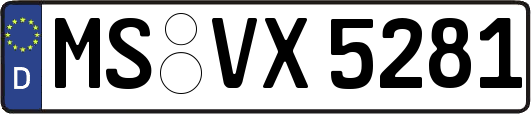 MS-VX5281