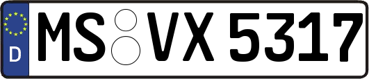 MS-VX5317