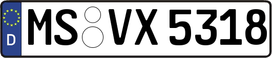 MS-VX5318