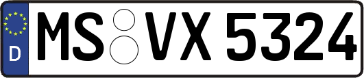 MS-VX5324