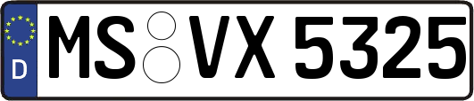 MS-VX5325