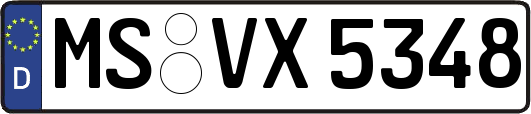 MS-VX5348