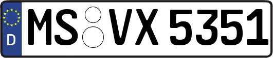 MS-VX5351