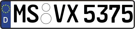 MS-VX5375