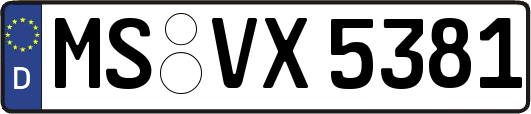 MS-VX5381